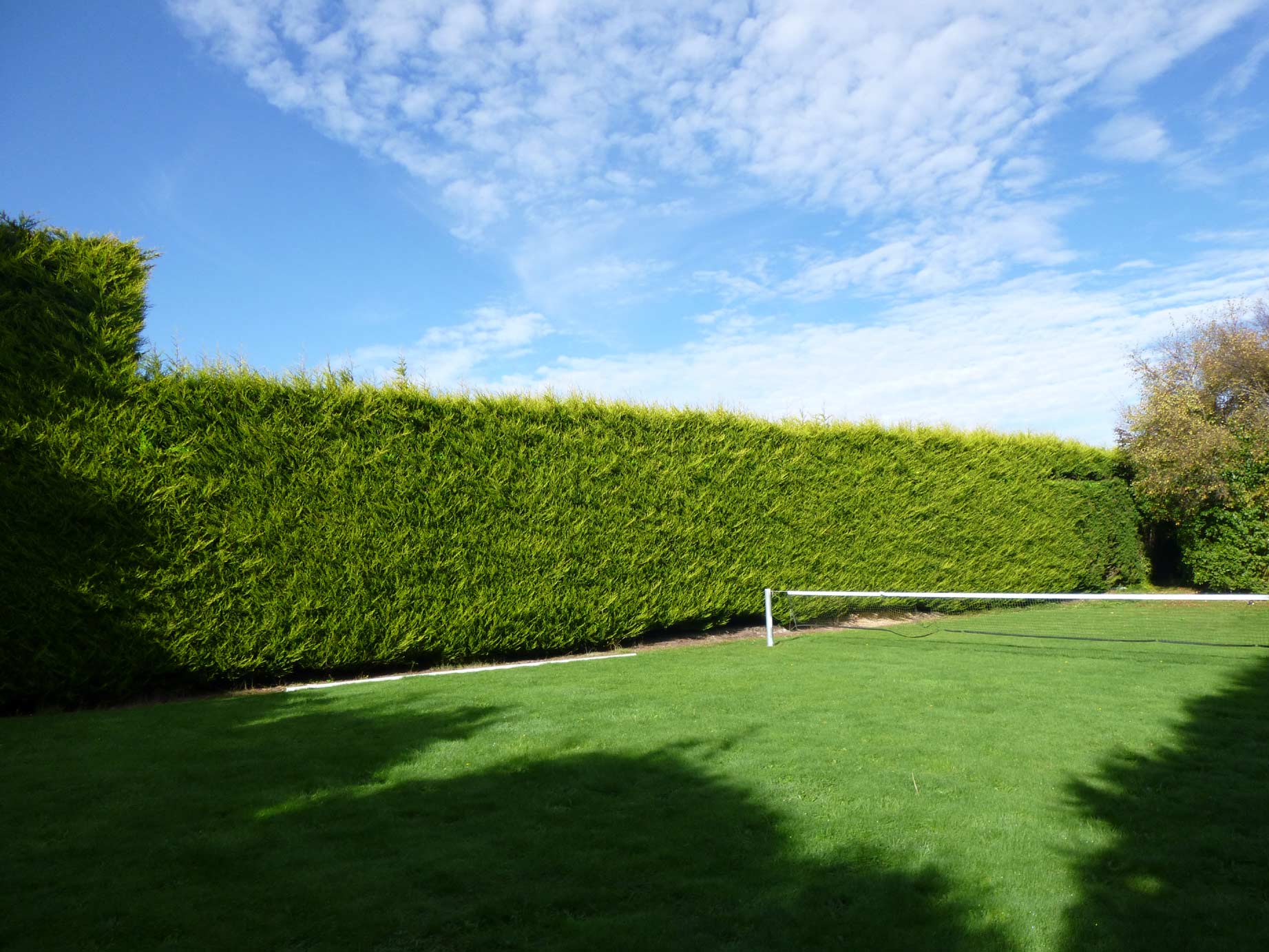 Hedge-Trimming