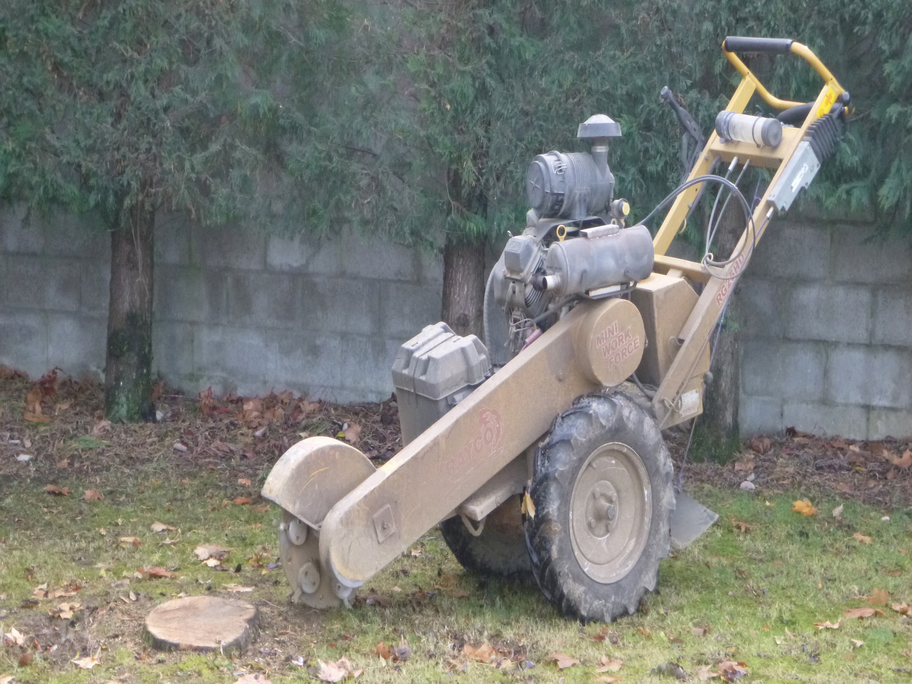 Stump-Grinding