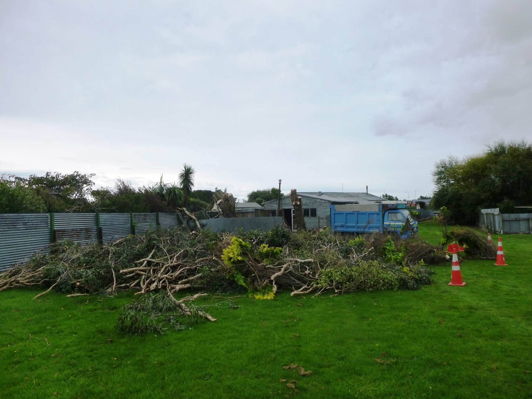 Tree-Removal